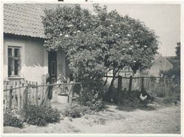 Sulimmen Kr. Lötzen, Kreis Lötzen Sulimmen Kr. Lötzen, Holunderbüsche vor dem Haus 