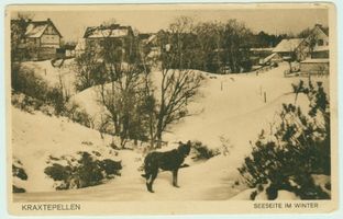 Kraxtepellen, Kreis Samland 