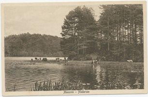  Masuren, Niedersee XI 