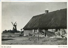  Preußisch Holland (Kreis), Windmühle und Haus bei Pr. Holland 
