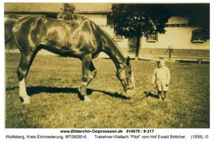 Wolfsberg (Ostpr.), Kreis Elchniederung 