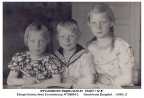 Elbings Kolonie Kr. Elchniederung, Kreis Elchniederung 