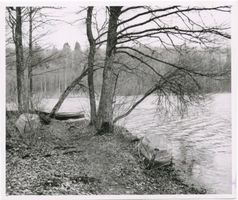  Niedersee (See), Uferpartie II Masuren, Niedersee