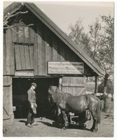  Großes Moosbruch, Dorfschmiede des Schmiedemeisters Otto Surckus 