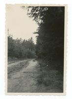 Puppen -A, Kreis Tilsit-Ragnit Puppen -A, Weg nach Puppen 