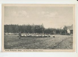 Kurschen Kr. Schloßberg, Kreis Schloßberg Kurschen Kr. Schlossberg, Gut - Besitzer Palfner 