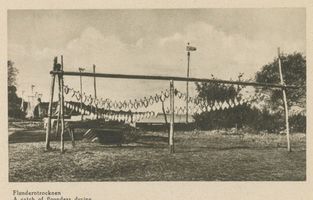  Kurische Nehrung, Trocknen von Flundern VIII Kurische Nehrung, Fischerei