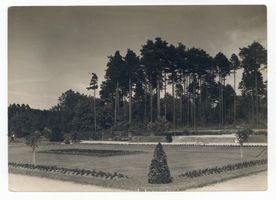 Allenstein, Stadtkreis Allenstein Allenstein, Parkanlagen Neu Jakobsberg Алленштайн, парковые насаждения Ной-Яксберг