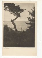 Warnicken, Kreis Samland 