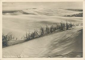  Kurische Nehrung, Auf den Dünen II Kurische Nehrung, Dünen