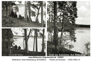 Kaltenborn, Kreis Neidenburg 
