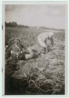 Ilmsdorf, Kreis Gerdauen 