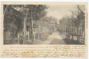 Seebad-Försterei, Kreis Memel Seebad-Försterei, Baumallee 