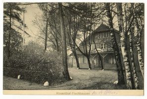 Rosenthal Kr. Samland, Gem. Fischhausen, Kreis Samland Rosenthal Kr. Samland, Gem. Fischhausen, Villa Rosenthal II Розенталь, р-н Самбия, общ. Фишхаузен, вилла «Розенталь», II