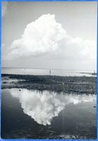  Frisches Haff, Wolkenspiegelung Фришский залив, отражение облаков