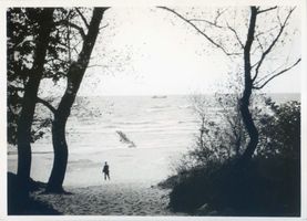 Rauschen Kr. Samland, Kreis Samland Rauschen Kr. Samland, Durchblick zum Strand Раушен, уезд Самбия, вид на пляж в глубине