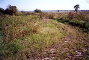 Liebenfelde (Ostpr.), Kreis Labiau Hindenburgstraße