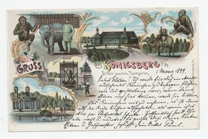 Königsberg (Pr.), Stadtkreis Königsberg Königsberg (Pr.), Tiergarten, Schloßteich Königsberg, Tiergarten