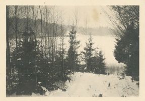  Masuren, Eingebetteter See - Winterbild Masurische Seen