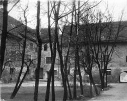 Labiau, Kreis Labiau 