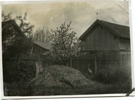 Rossitten Kr. Samland, Kreis Samland 