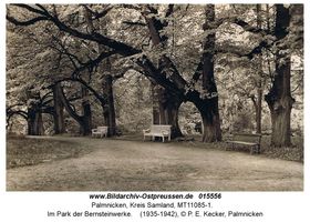Palmnicken, Kreis Samland 