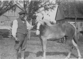 Raging, Kreis Elchniederung 