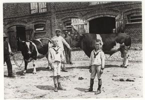 Katrinfelde, Kreis Lyck 