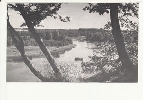  Der Fluss Angerapp II 