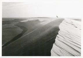  Kurische Nehrung, Dünen, Haffseite bei Pillkoppen Kurische Nehrung, Dünen