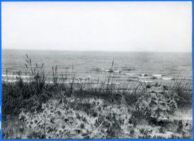  Frische Nehrung, Kaddighaken, Blick über die Vordüne auf die See Фришская коса, Каддигхакен, вид через переднюю дюну на море