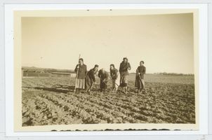 Obrotten, Kreis Samland Obrotten, Reichsarbeitsdienstlager 2/13, Maiden bei der Feldarbeit 