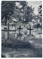 Nidden, Kreis Memel Nidden, Friedhof IV Нидден, кладбище, IV
