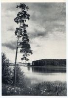  Masuren, Goldapgarsee I Мазуры, озеро Гольдап, I