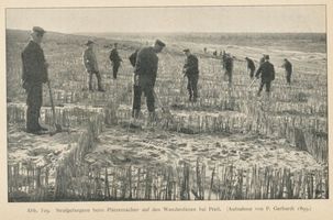 Preil, Kreis Memel Preil, Strafgefangene beim Plätzemachen auf den Wanderdünen bei Preil Приль, заключённые за устройством посадочных площадок на бродячих дюнах у Приля