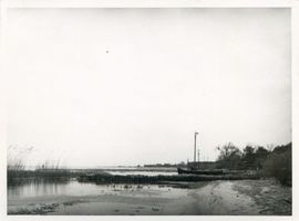  Kurische Nehrung, Haff bei Nidden II Куршская коса, залив у Ниддена, II