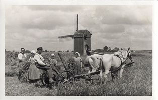 Argenbrück, Kreis Tilsit-Ragnit Argenbrück, Getreideernte bei Grickschat Landwirtschaft in Ostpreußen