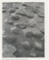  Kurische Nehrung, Dünen, Sandstrukturen, vom Wind gefurchte  Höhenlinien  Kurische Nehrung, Dünen, Sandstrukturen