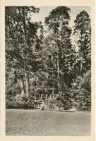  Rominter Heide, Steg bei Hoch Rominten 