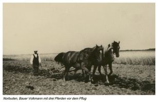 Norbuden, Kreis Gumbinnen 