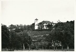 Succase, Kreis Elbing Succase, Hotel Haffschlößchen, VIII Зуккасе, отель «Хаффшлёссхен», VIII