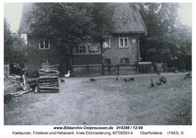 Kastaunen Kr. Elchniederung, Försterei und Hebewerk, Kreis Elchniederung 