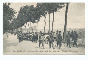 Tilsit, Stadt, Stadtkreis Tilsit 