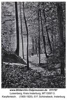 Luisenberg Kr. Insterburg, Kreis Insterburg 