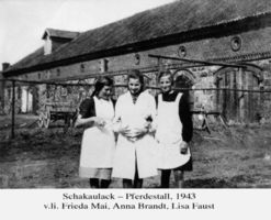 Schakaulack, Kreis Labiau 