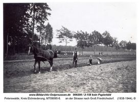 Peterswalde Kr. Elchniederung, Kreis Elchniederung 