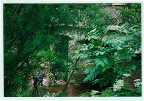 Schönlinde Kr. Gerdauen, Kreis Gerdauen 