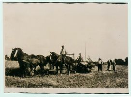 Nubertshöfen, Kreis Gerdauen 