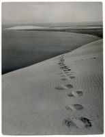 Kurische Nehrung, Wanderdünen bei Nidden VI Nidden, Landschaft - Ostsee - Umgebung