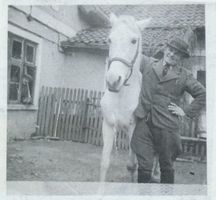 Schönlinde Kr. Gerdauen, Kreis Gerdauen 